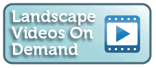 Landscape videos